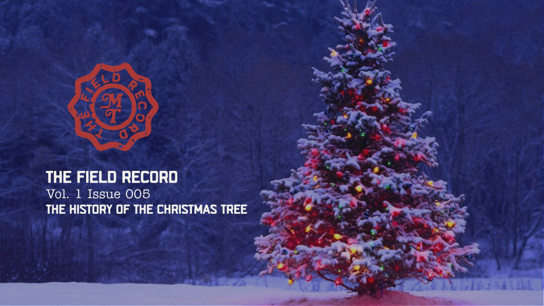 Holiday Traditions: History of the Christmas Tree