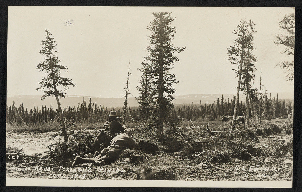 Mad Trapper - National Archive 1913 Alaska Wilderness Hunt 